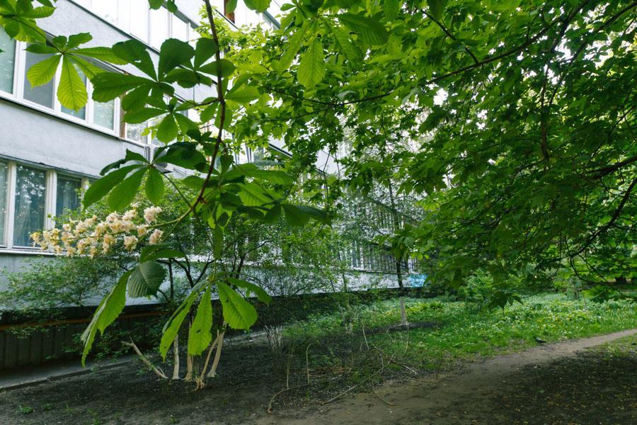 Bessarabsky Kvartal Kiew Exterior foto